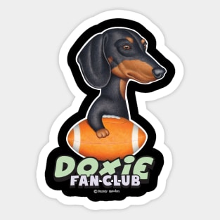 Funny Black Tan Doxie Holding a Football Sticker